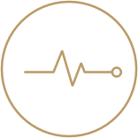 Combined Life and Critical Illness Protection